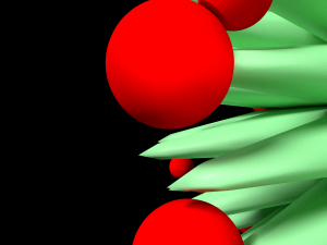 Bacterium 3Dモデル