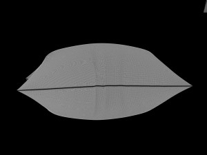 Pillow 3D 模型