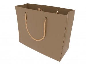 Carrier bag 3D 模型