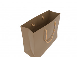 Carrier bag 3D Модель