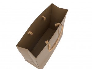 Carrier bag 3D Модель