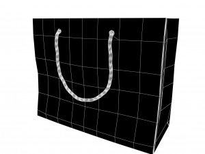 Carrier bag 3D Модель
