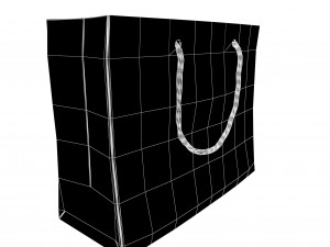 Carrier bag 3D Модель