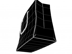 Carrier bag 3D Модель