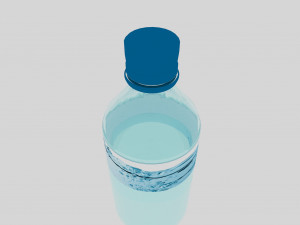 Plastic Water Bottle Model 3D