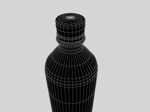 Plastic Water Bottle Model 3D