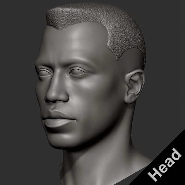 Wesley Snipes - Blade 3D Принт Модель .c4d .max .obj .3ds .fbx .stl .blend 