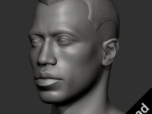 ウェスリー・スナイプス - ブレード 3Dプリントモデル