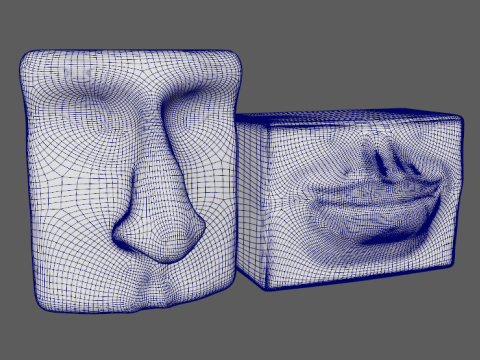 Geometric Face Sculptures 3D Model