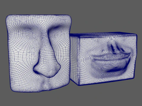 Geometric Face Sculptures 3D Model