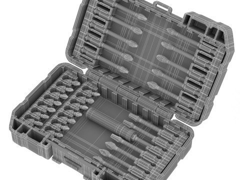 Dewalt FLEX TORQUE SCREWDRIVING BIT SET 25 PIECES 3D 模型