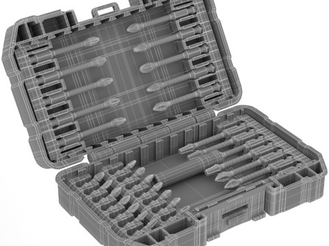 Dewalt FLEX TORQUE SCREWDRIVING BIT SET 25 PIECES 3D 模型