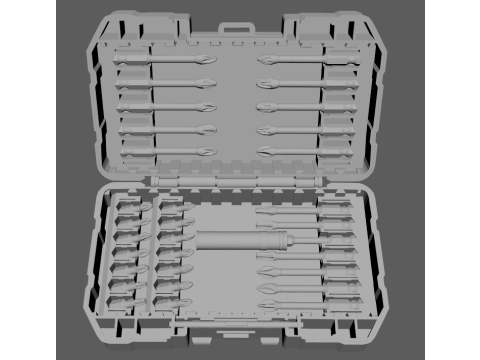 Dewalt FLEX TORQUE SCREWDRIVING BIT SET 25 PIECES 3D 模型