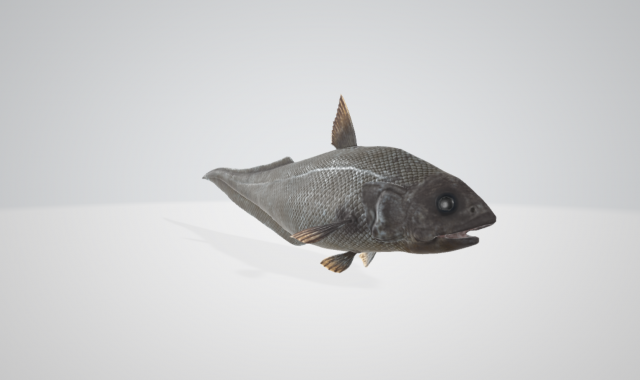 The Abyssal Grenadier 3D Model .c4d .max .obj .3ds .fbx .stl .blend 
