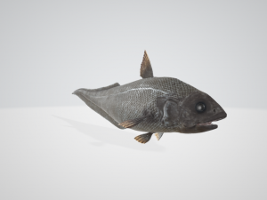 The Abyssal Grenadier 3D 模型