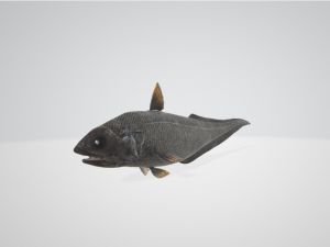 The Abyssal Grenadier 3D Model