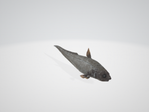 The Abyssal Grenadier 3D Model