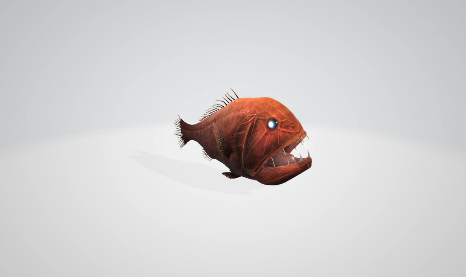 Common Fangtooth 3D Model .c4d .max .obj .3ds .fbx .stl .blend 