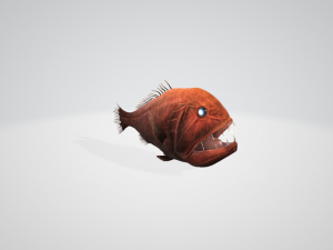 Common Fangtooth 3D Model