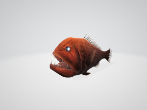 Common Fangtooth 3D Model