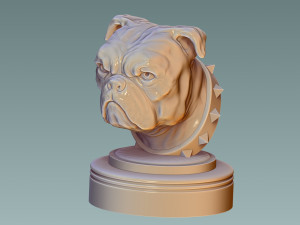 English Bulldog Head 3D Baskı Modeli