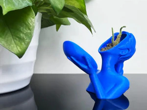 सौंदर्य फूलदान 3D प्रिंट मॉडल