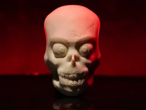 Skull 3D Print Model
