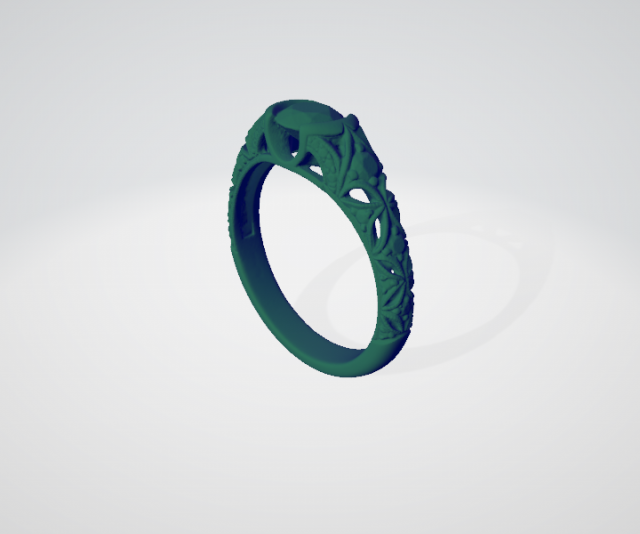 Wedding Ring 3D Scan 3Dプリントモデル .c4d .max .obj .3ds .fbx .stl .blend 