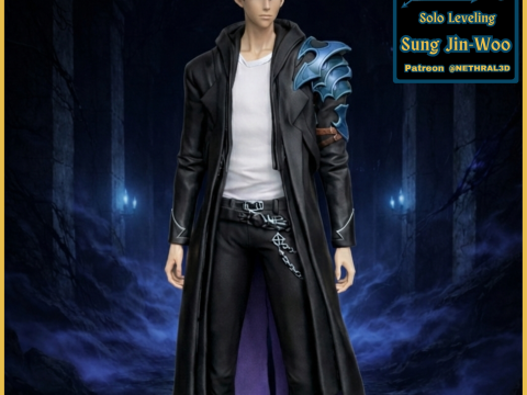 Solo Leveling Sung Jin-Woo 3D Print Model