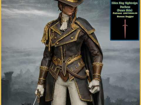 Elden Ring Nightreign Duchess Dawn Skin 3D Print Model