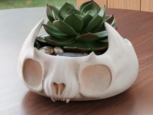 Niedlicher Totenkopf-Topfteller 3D Druckmodell