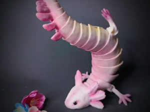 Articulated Axolotl Modelo de Impressão 3D