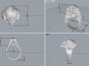Skull Ring 200 3D Print Model