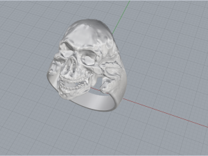 Skull Ring 200 3D Print Model