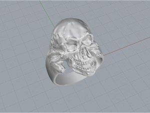 Skull Ring 200 3D Print Model