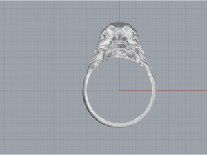 Skull Ring 200 3D Print Model