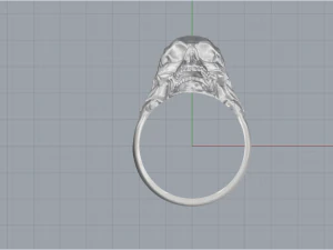 Skull Ring 200 3D Print Model