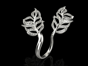 Ring 1346 Modèles 3D en vedette