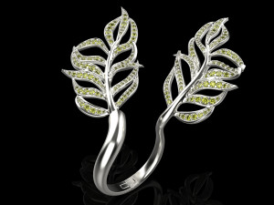 Ring 1346 Modèles 3D en vedette
