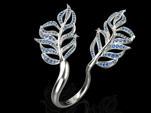 Ring 1346 Modèles 3D en vedette