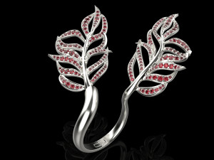 Ring 1346 Modèles 3D en vedette