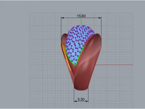 Ring With stones 1720 3D Print Model