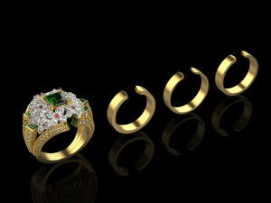 Rings 1888 3D-printmodel