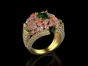 Rings 1888 3D Print Model