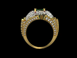 Rings 1888 3D Print Model