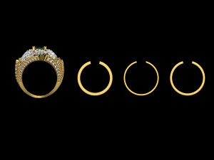 Rings 1888 3D Print Model