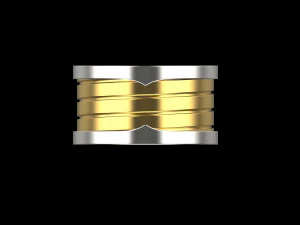 Ring 1954 3D Print Model