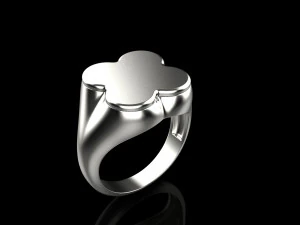 Ring 3832 3D Print Model