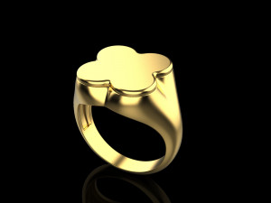 Ring 3832 Modèles 3D en vedette