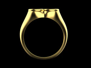 Ring 3832 3D Print Model